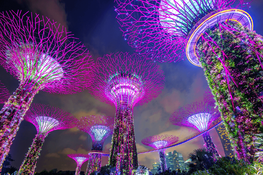 Singapore Cityscape At Night Print 100% Australian Made