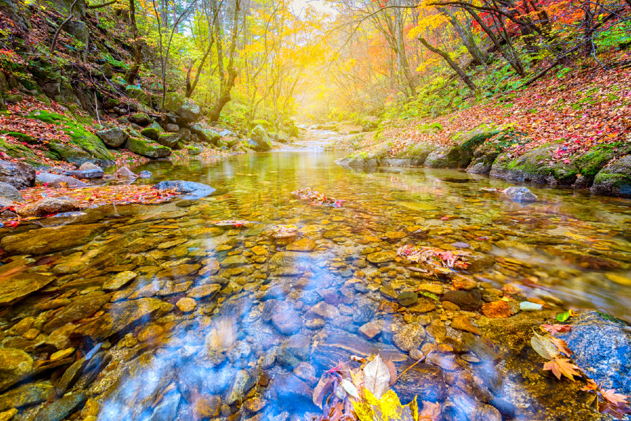 Jangtaesan Autumn Forest River Scenery View Home Decor Premium Quality Poster Print Choose Your Sizes