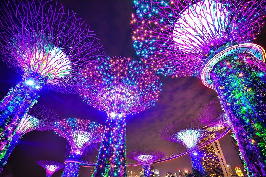 Gardens by the Bay Singapore Night View Photograph Print 100% Australian Made