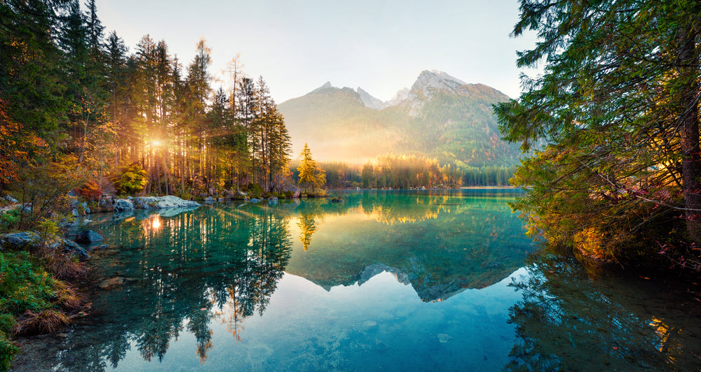 Stunning Lake & Forest Landscape Scenery Photograph Print 100% Australian Made