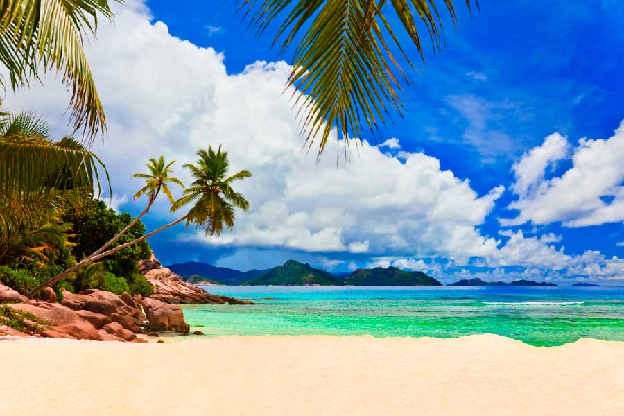 Bella Home Palms on Tropical Beach & Sky Print Canvas Ready to hang