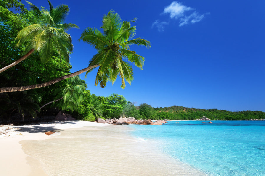 Anse Lazio Beach Praslin Island Photograph Print 100% Australian Made