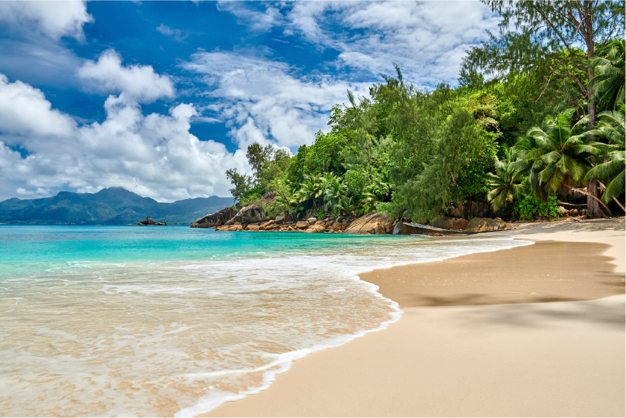 Bella Home Sand Beach Sky on The Island Print Canvas Ready to hang