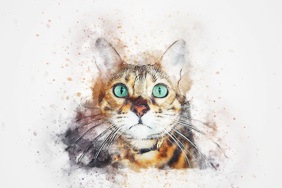 Cat Closeup Abstract Design Print 100% Australian Made