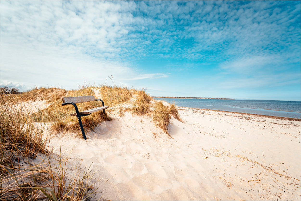 Bella Home Sand Seashore With Blue & White Sky Print Canvas Ready to hang