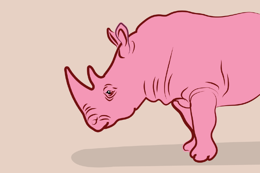Rhinoceros Pink Vector Art Print 100% Australian Made