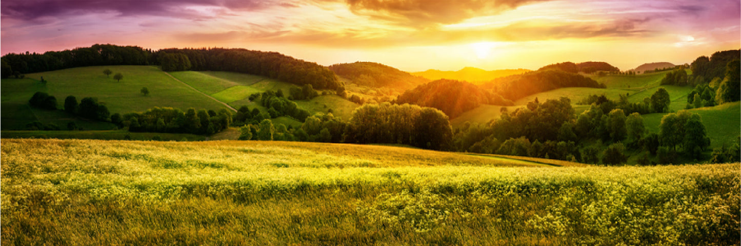 Panoramic Canvas Sunrise Green Hill View Photograph High Quality 100% Australian Made Wall Canvas Print Ready to Hang