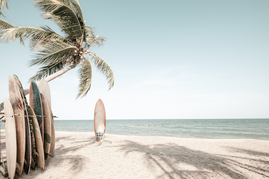 Surfing Board & Sea Sky View Print 100% Australian Made
