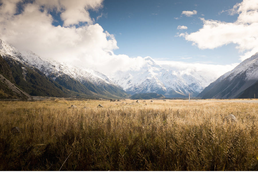 Aoraki/Mount Cook National Park View Photograph Home Decor Premium Quality Poster Print Choose Your Sizes