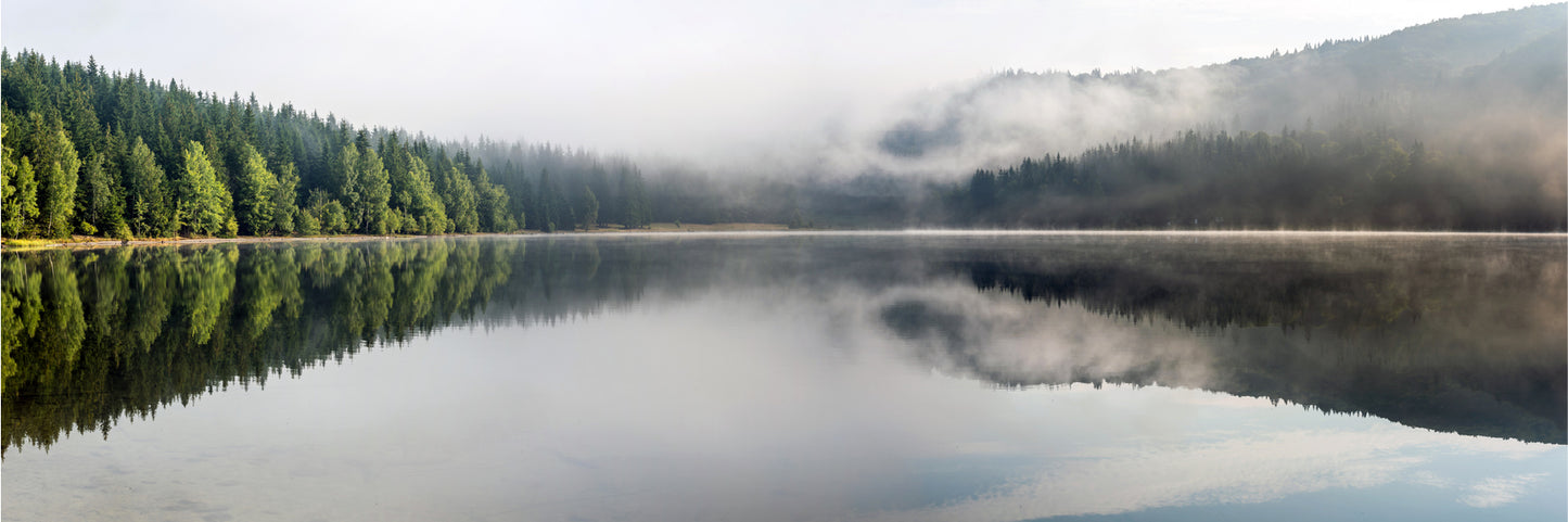 Panoramic Canvas Forest View on Lake Photograph High Quality 100% Australian Made Wall Canvas Print Ready to Hang