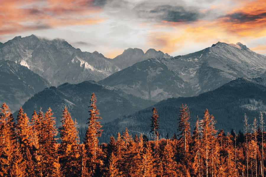 Autumn Trees near Mountains View Photograph Print 100% Australian Made