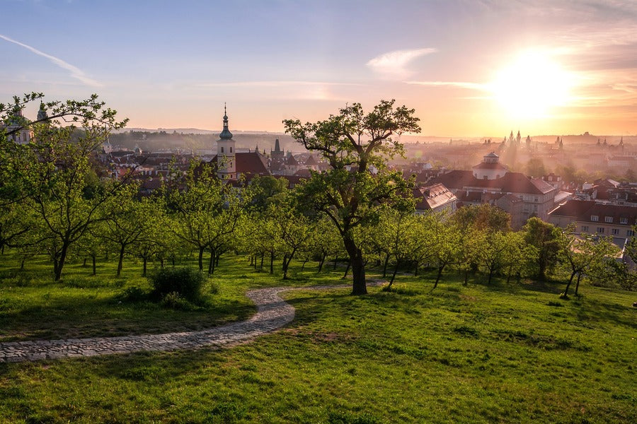Prague City view from Garden Sunset Photograph Print 100% Australian Made