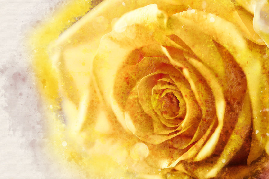 Yellow Rose Closeup Painting Home Decor Premium Quality Poster Print Choose Your Sizes
