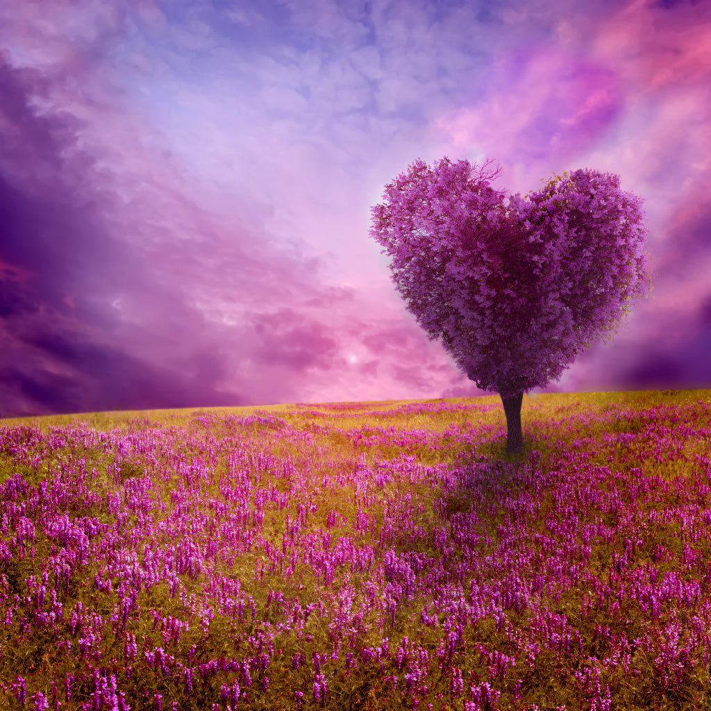 Square Canvas Purple Heart Shape Tree View High Quality Print 100% Australian Made