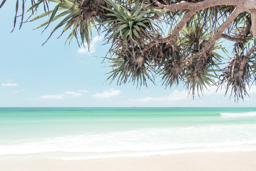 Trees & Sea Cloudy Sky View Home Decor Premium Quality Poster Print Choose Your Sizes