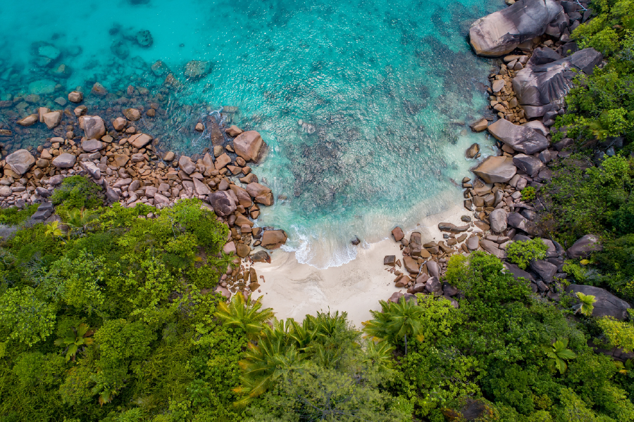Forest & Rocks On Sea Aerial View Print 100% Australian Made