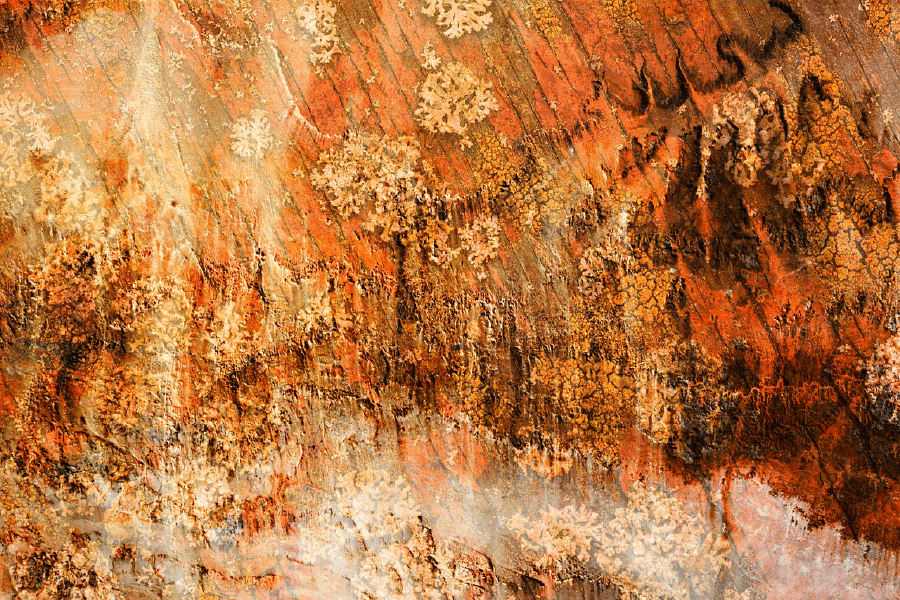 Orange Abstract Design Print 100% Australian Made