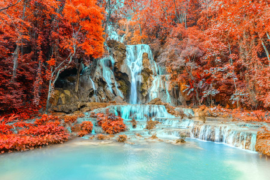 Autumn Trees & Waterfall View Print 100% Australian Made