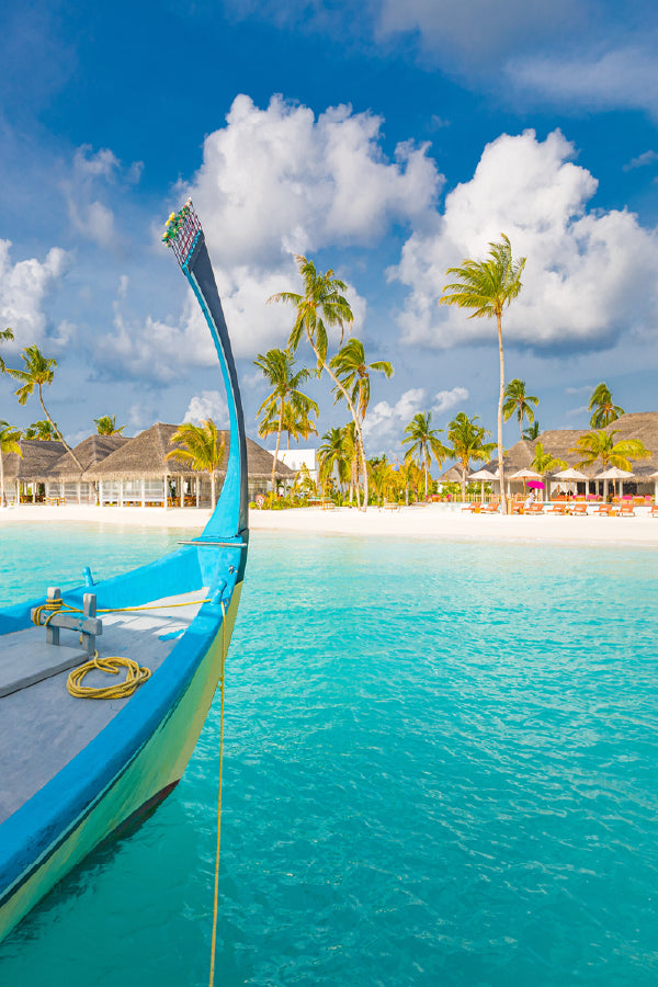Traditional Boat Dhoni Sea Lagoon View Home Decor Premium Quality Poster Print Choose Your Sizes