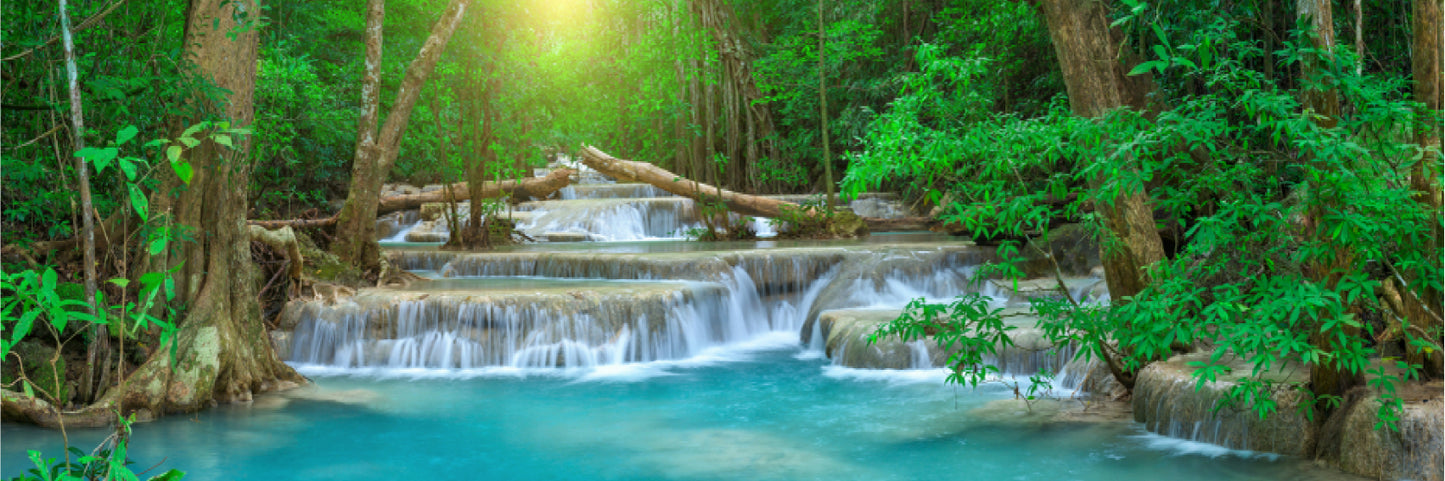 Panoramic Forest Clear Waterfall Scenery Photograph High Quality 100% Australian Made Wall Canvas Print Ready to Hang