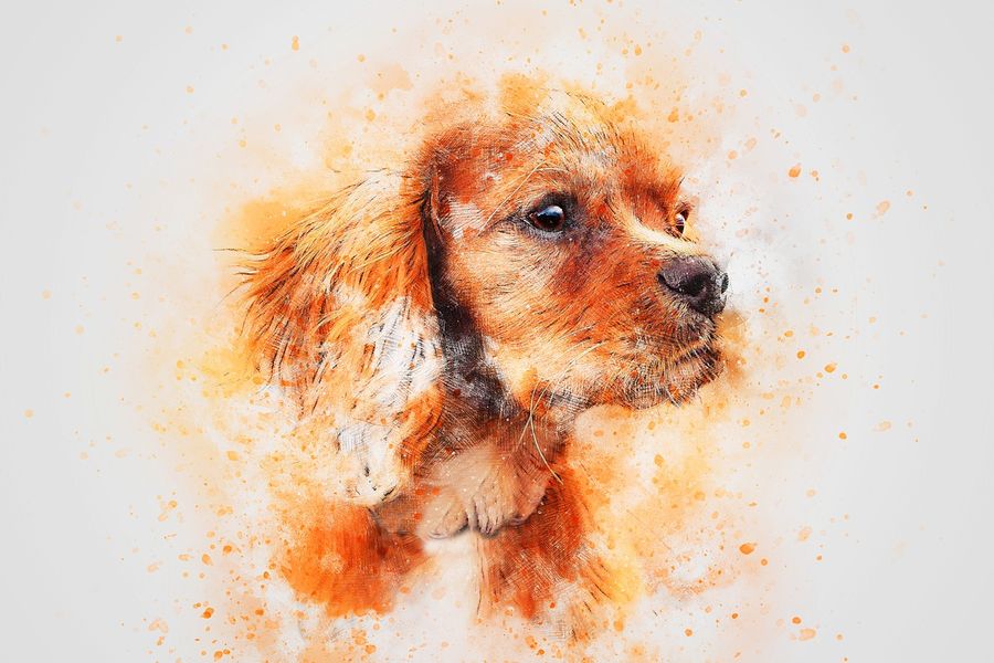 Baby Dog Closeup Abstract Design Print 100% Australian Made
