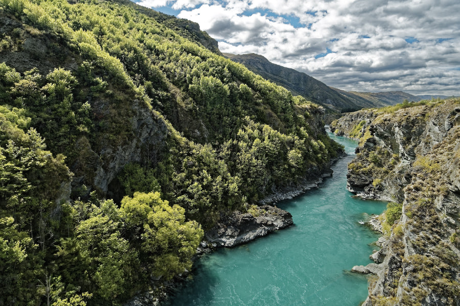 Kawarau River Forest Aerial View Photograph Home Decor Premium Quality Poster Print Choose Your Sizes