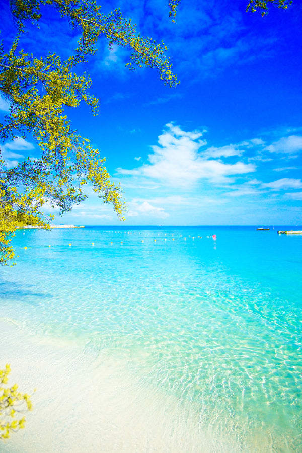 Clear Sea with Blue Sky Scenery Photograph Print 100% Australian Made