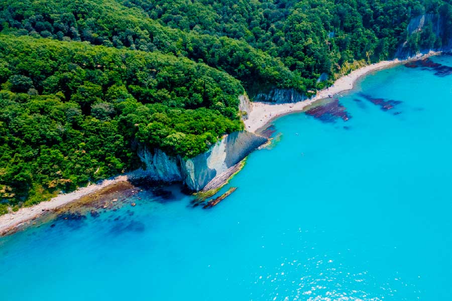 Bella Home Sea Coast Forest Aerial View Print Canvas Ready to hang