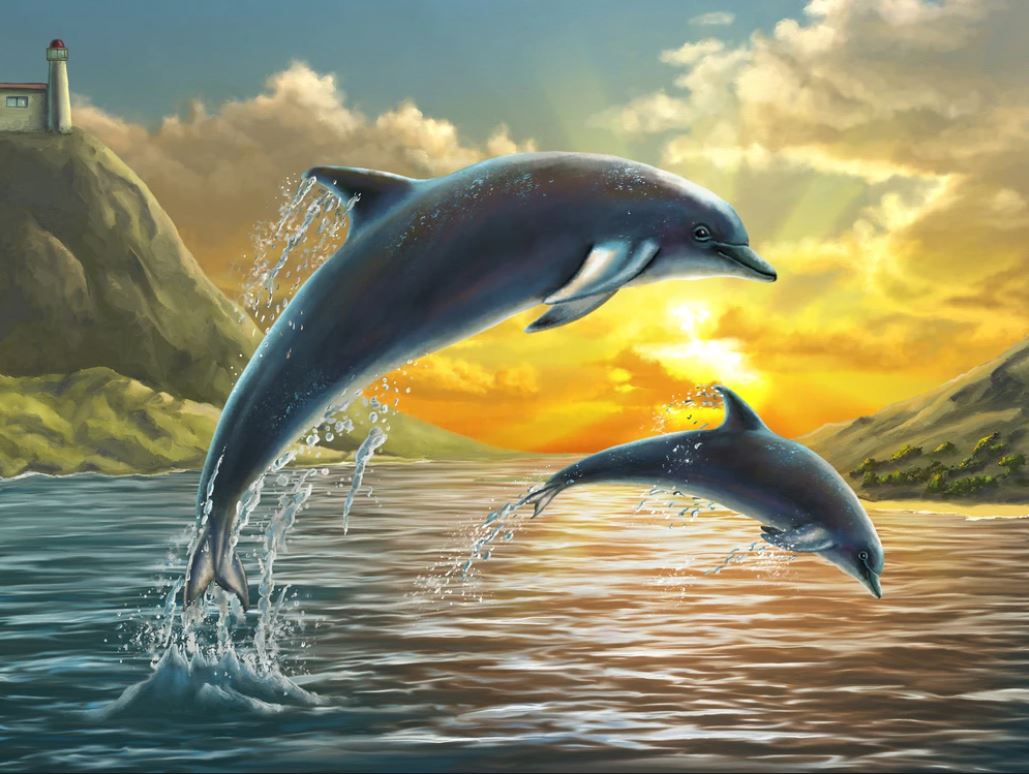 Dolphins on Sea Sunset Digital ArtHome Decor Premium Quality Poster Print Choose Your Sizes