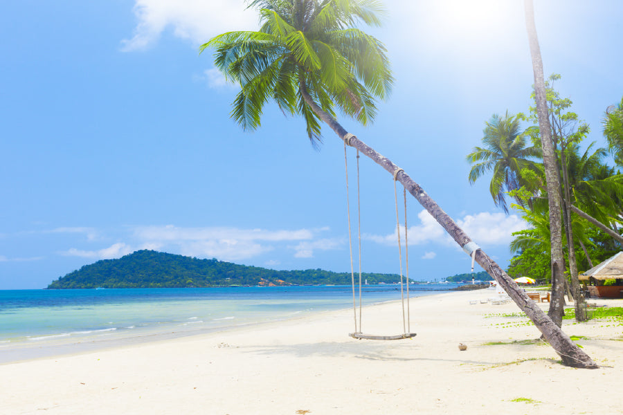 Beach with Palm Trees & Swing Photograph Print 100% Australian Made