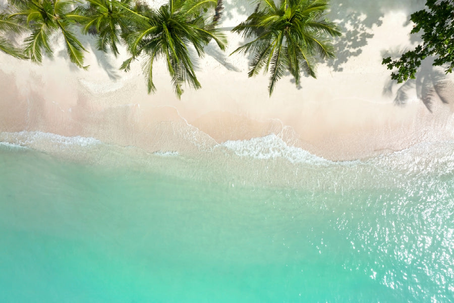 Blue Sea & Palm Trees Aerial View Photograph Print 100% Australian Made