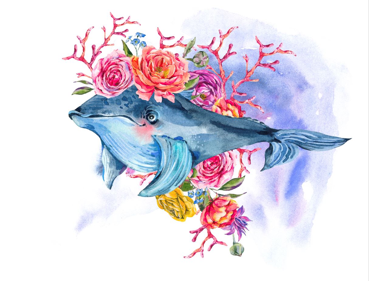 Whale & Flowers Watercolor Painting Print 100% Australian Made