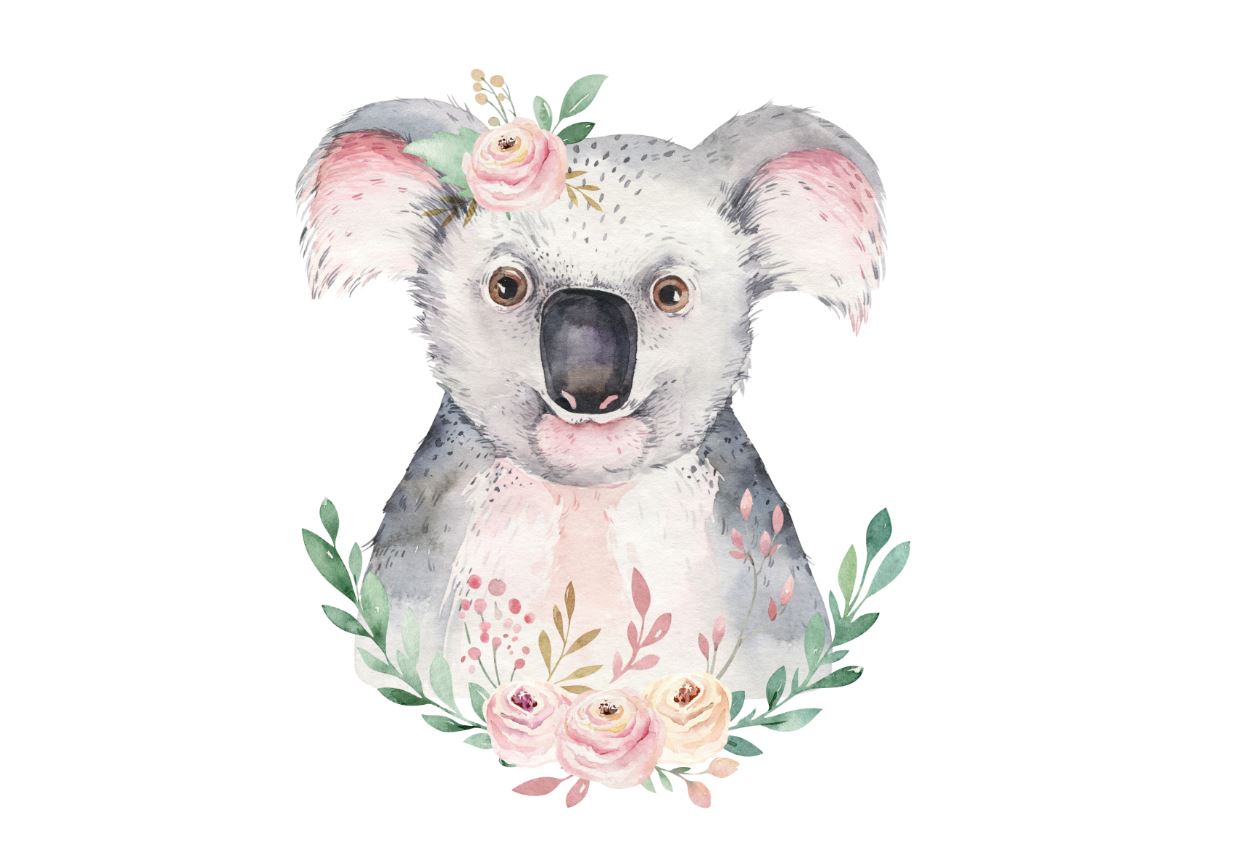 Koala Bear Watercolor Painting Print 100% Australian Made