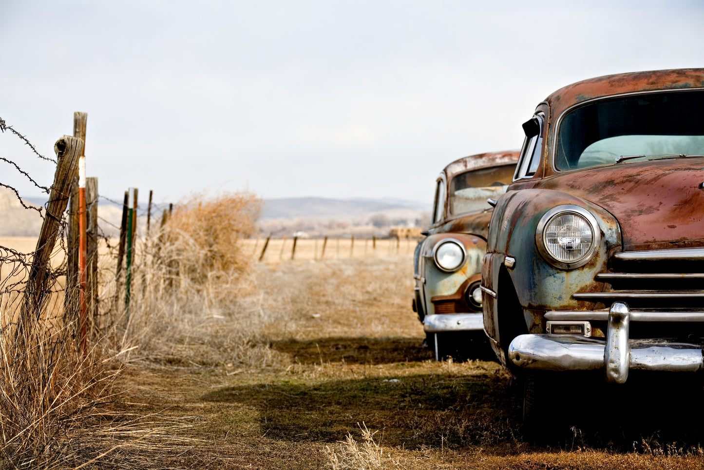 Vintage Cars Abandoned & Rusting Away in Rural Wyoming Print 100% Australian Made