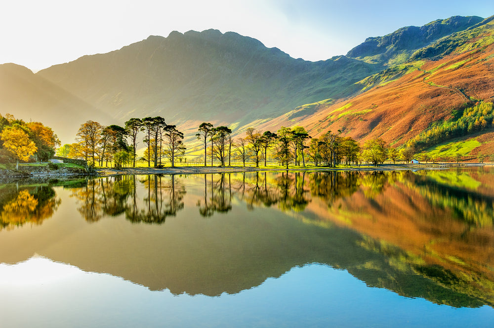 Lake & Forest Scenery Photograph Home Decor Premium Quality Poster Print Choose Your Sizes
