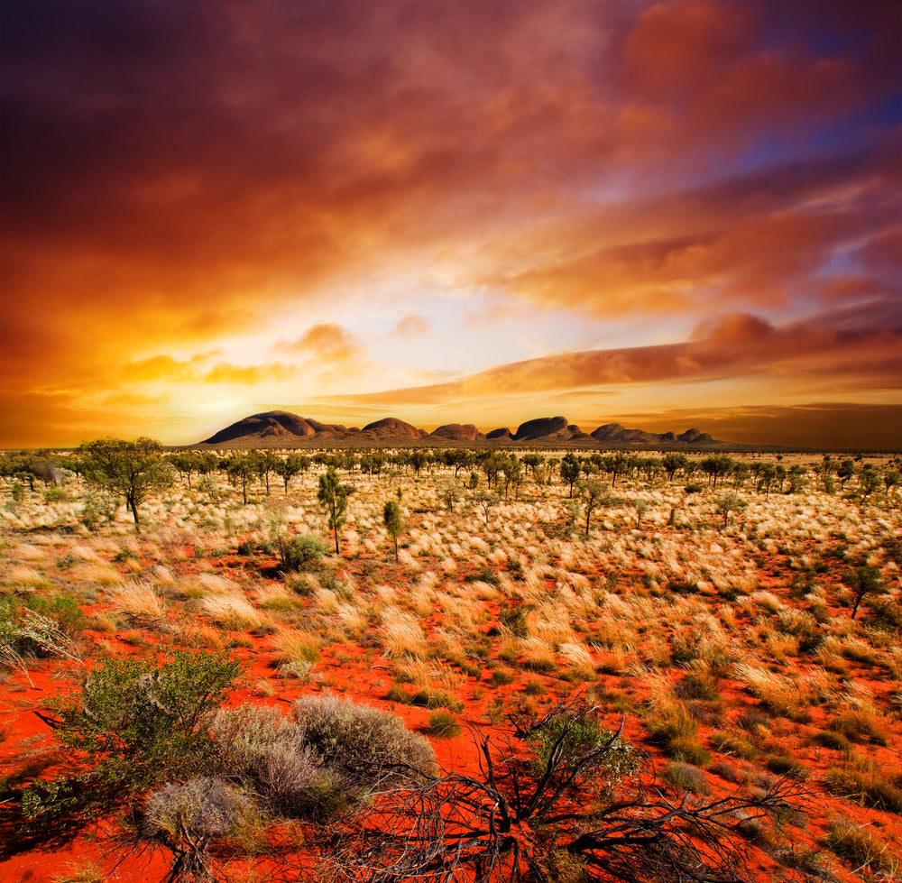 Square Canvas Nature Sunset View Photograph High Quality Print 100% Australian Made