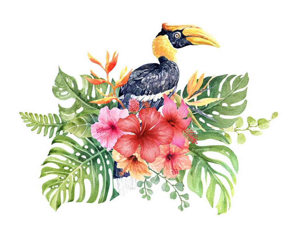 Great hornbill Bird & Flowers Watercolor Painting Print 100% Australian Made