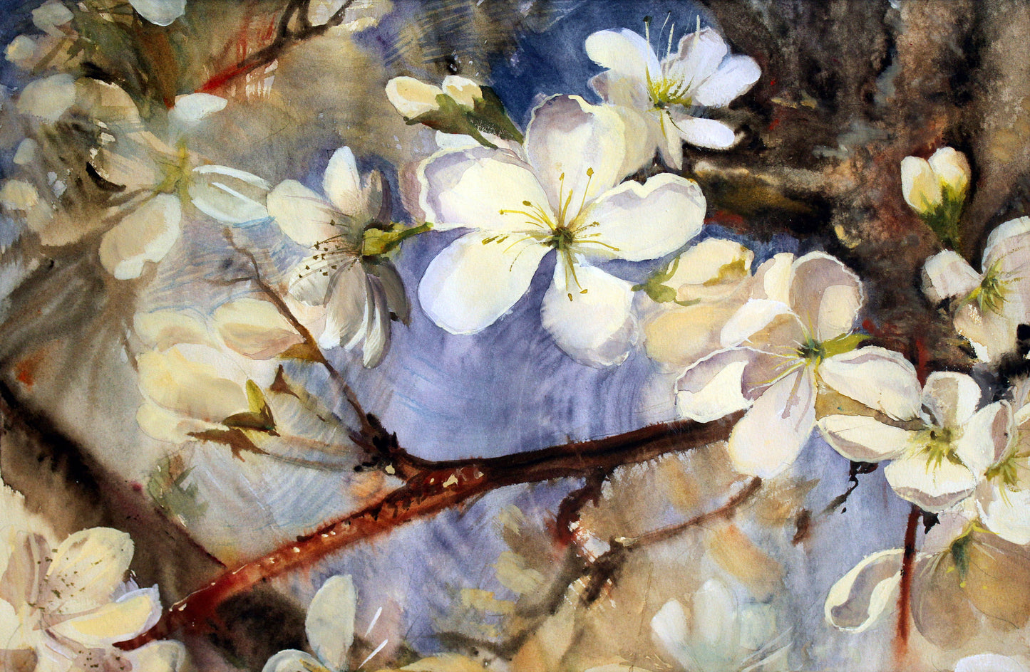 Colorful Flowers Watercolor Painting Print 100% Australian Made