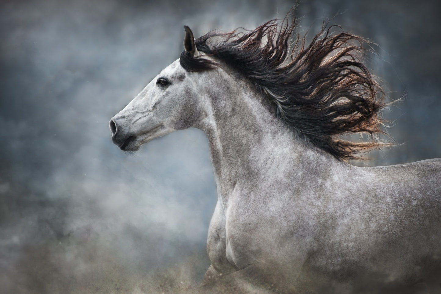 Horse Portrait Oil Painting Home Decor Premium Quality Poster Print Choose Your Sizes