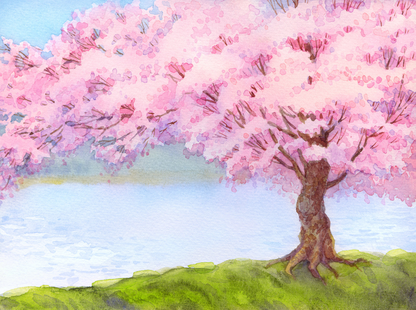 Blossom Tree Near Lake Oil Paint Home Decor Premium Quality Poster Print Choose Your Sizes