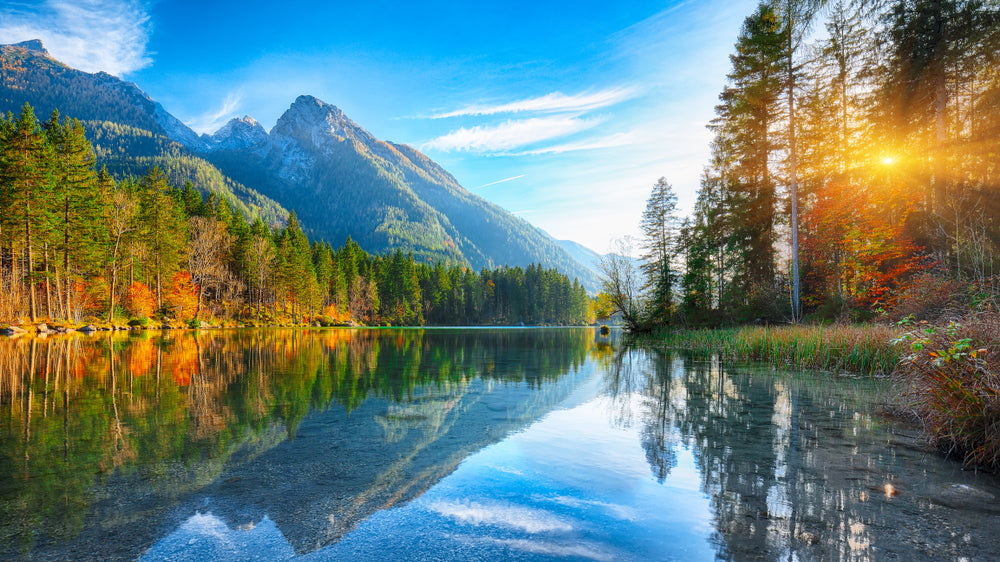 Lake & Forest Scenery Photograph Home Decor Premium Quality Poster Print Choose Your Sizes