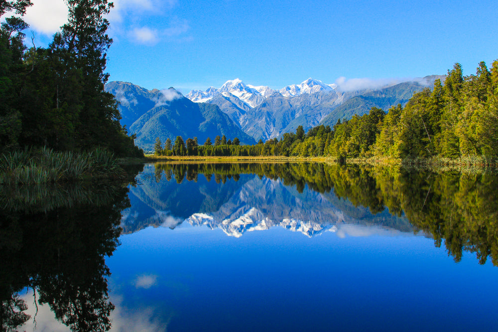 Lake Near Forest Scenery Photograph Print 100% Australian Made