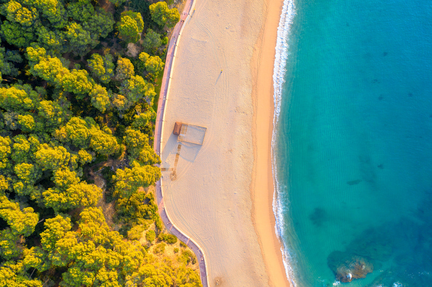 Sea & Forest Aerial View Photograph Home Decor Premium Quality Poster Print Choose Your Sizes