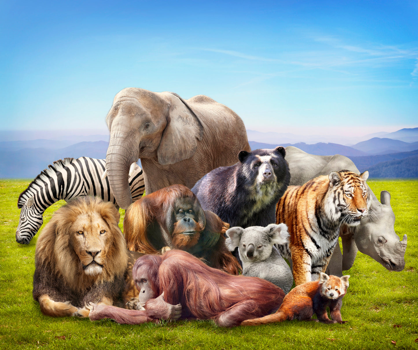 Wild Animals Digital Painting Print 100% Australian Made