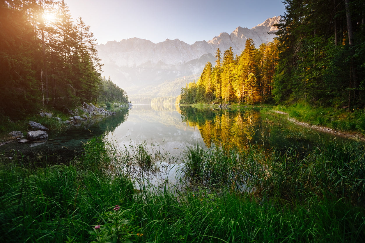 Lake & Forest Scenery View Print 100% Australian Made