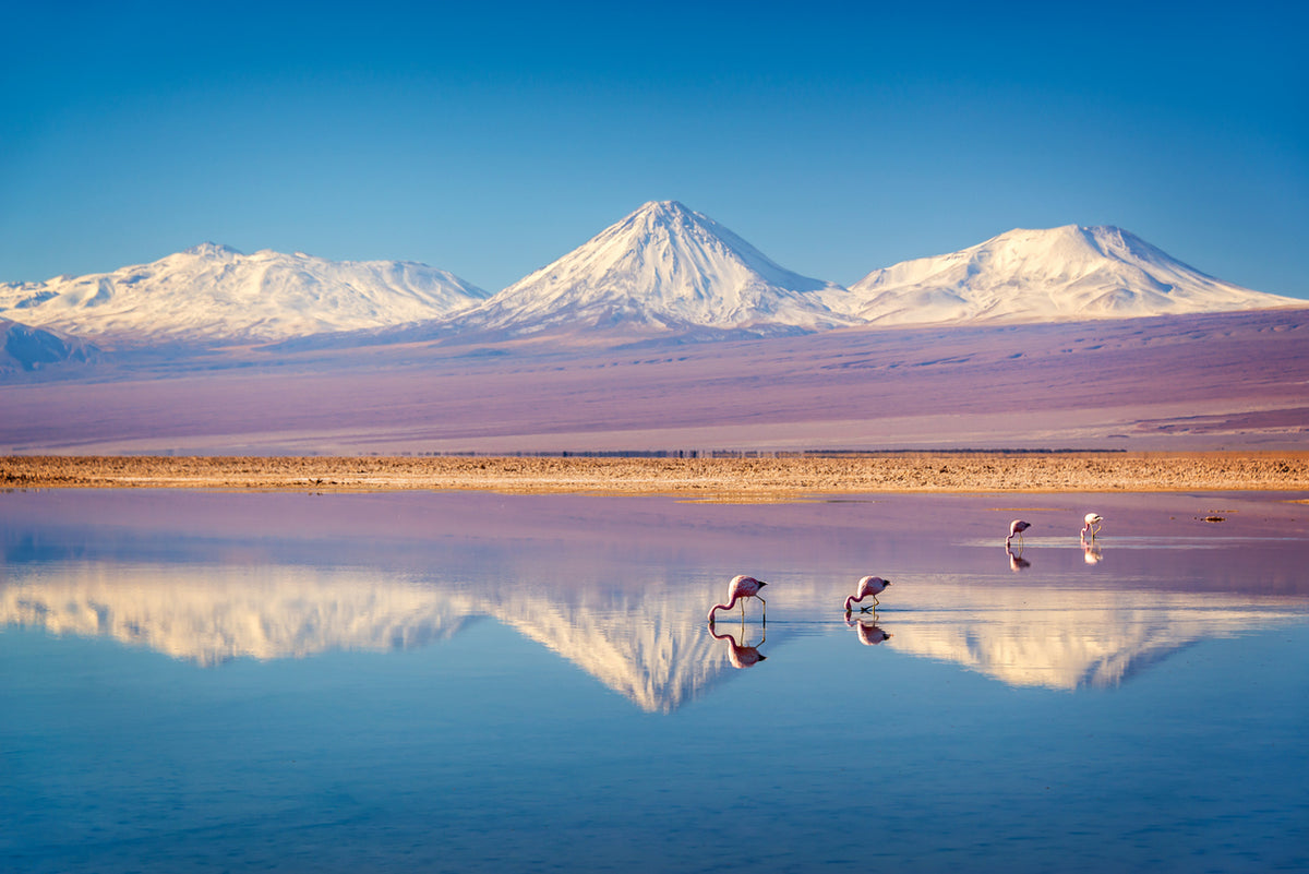 Lake & Snow Capped Mountain View Print 100% Australian Made