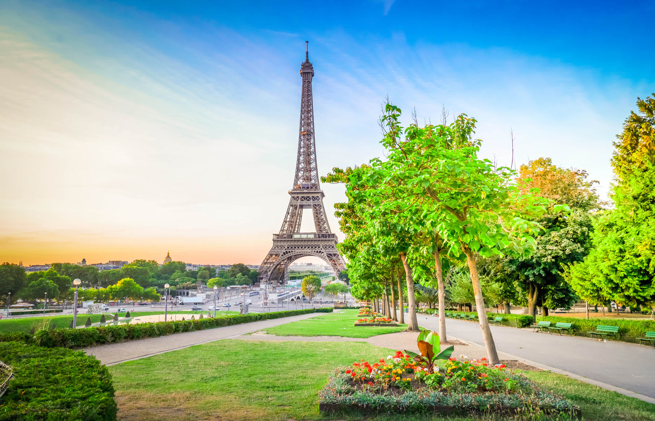 Eiffel Tower & Park Scenery View Home Decor Premium Quality Poster Print Choose Your Sizes