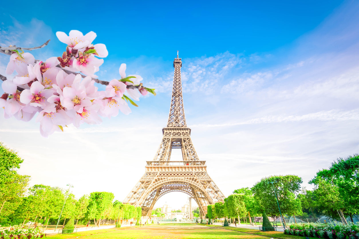 Eiffel Tower & Park Scenery View Print 100% Australian Made