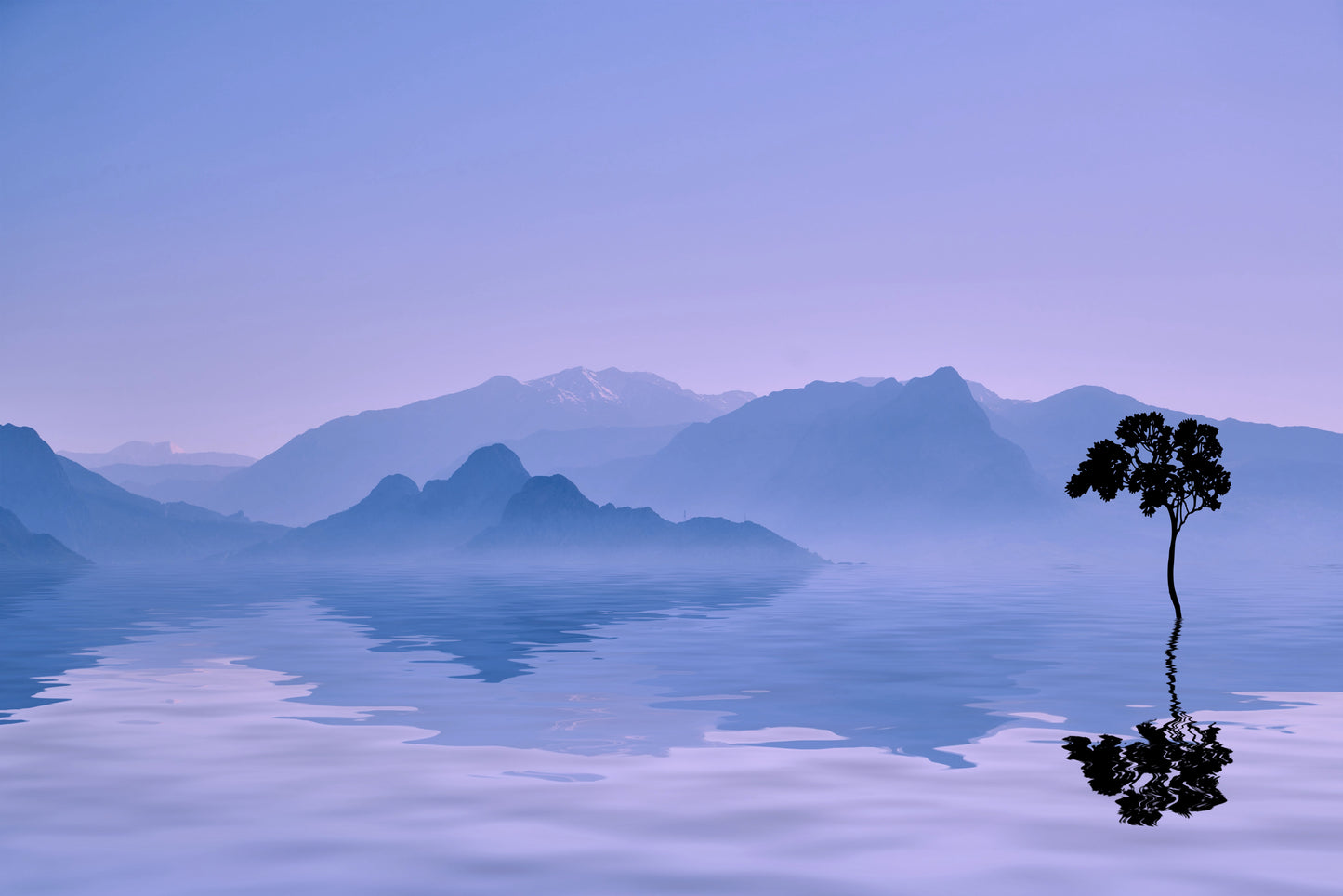 Tree in a Lake Evening View Photograph Print 100% Australian Made