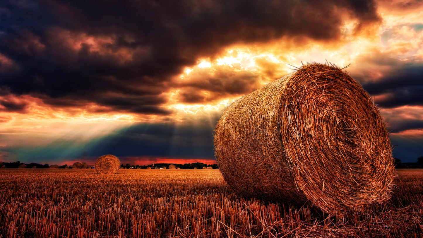 Haystacks on Field at Sunset Photograph Print 100% Australian Made
